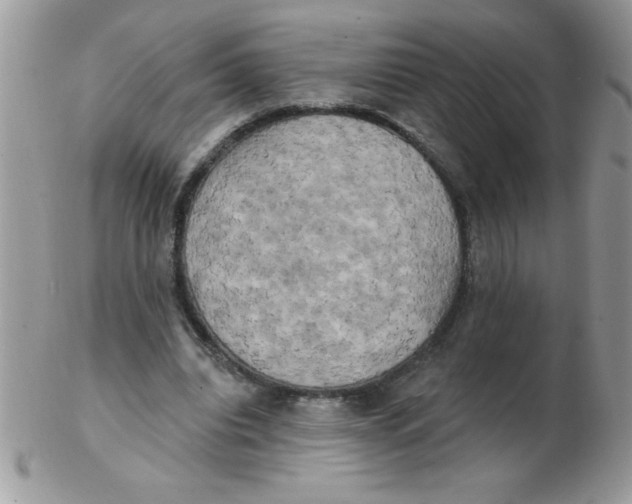 X0000102410440200808221915