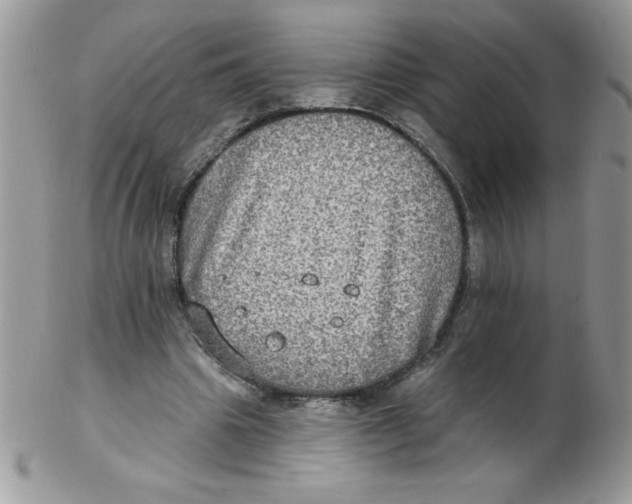 X0000102410441200808221915