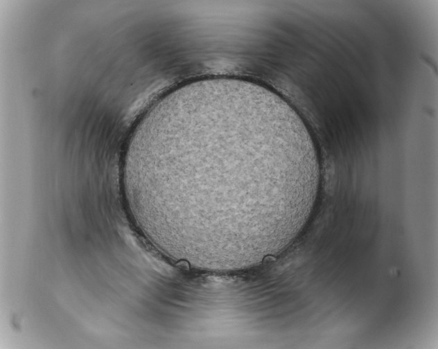 X0000102410442200808221915