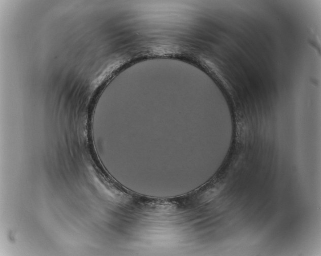 X0000102410443200808221915