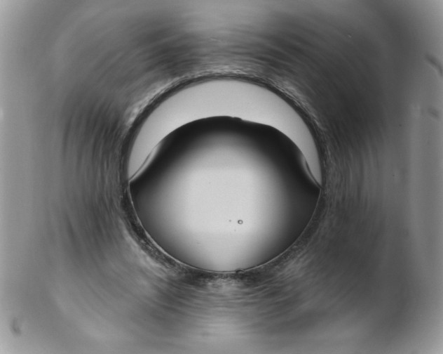 X0000102410444200808221915