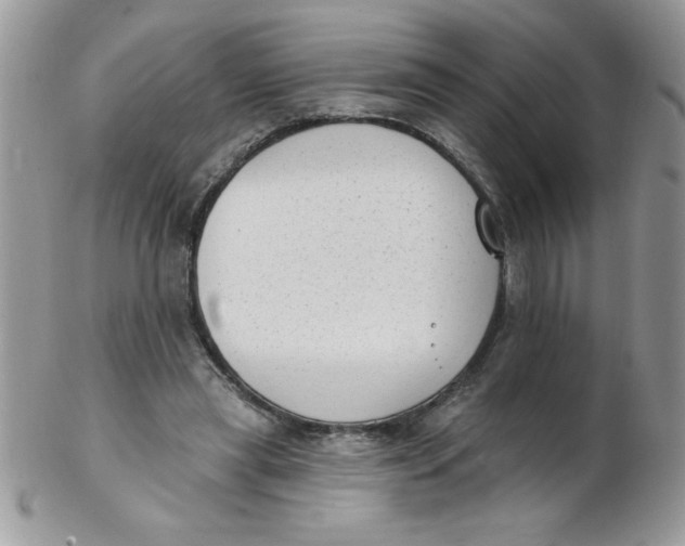 X0000102410445200808221915