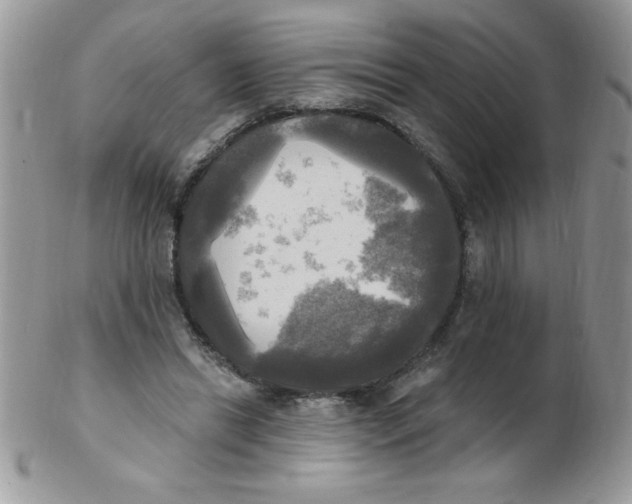 X0000102410446200808221915