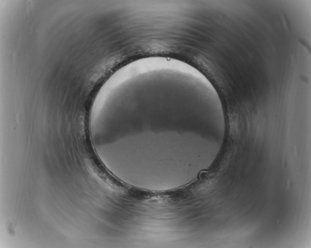 X0000102410447200808221915