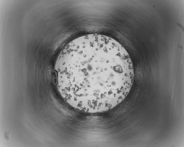 X0000102410448200808221915