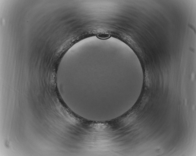 X0000102410449200808221915