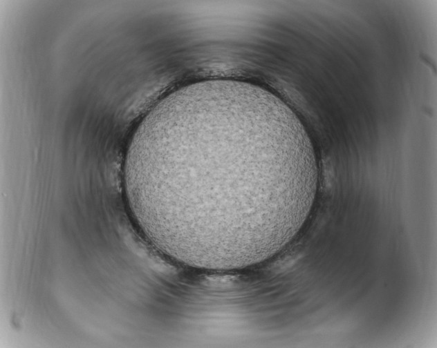 X0000102410450200808221915