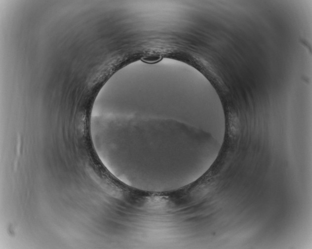 X0000102410451200808221915