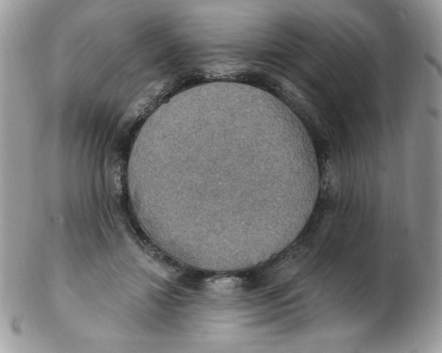 X0000102410452200808221915