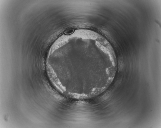 X0000102410453200808221915