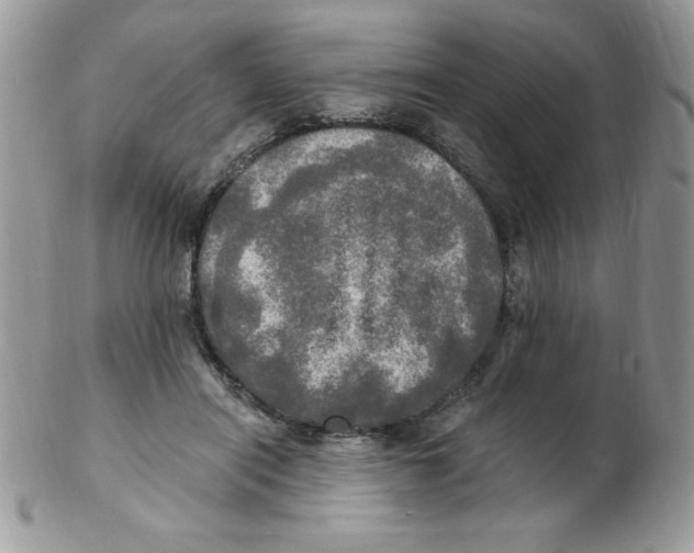 X0000102410454200808221915