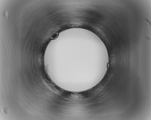 X0000102410455200808221915