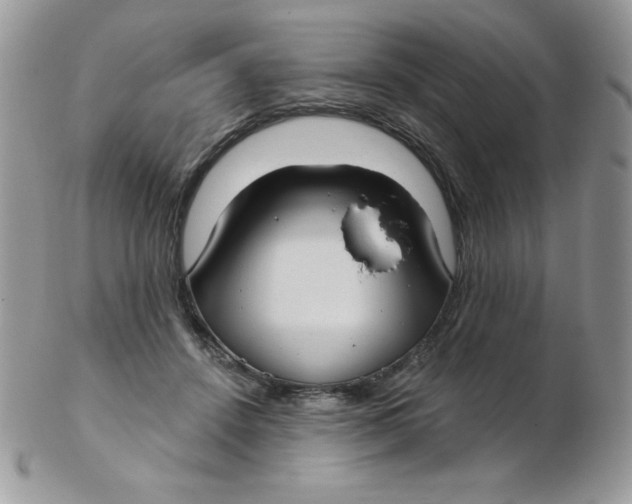 X0000102410456200808221915