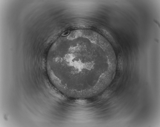 X0000102410457200808221915