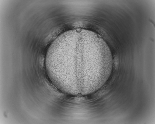 X0000102410458200808221915