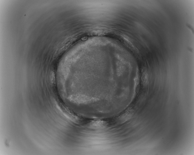 X0000102410459200808221915