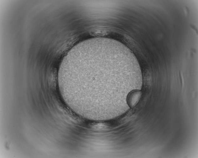 X0000102410460200808221915