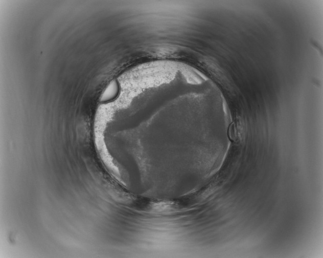 X0000102410461200808221915