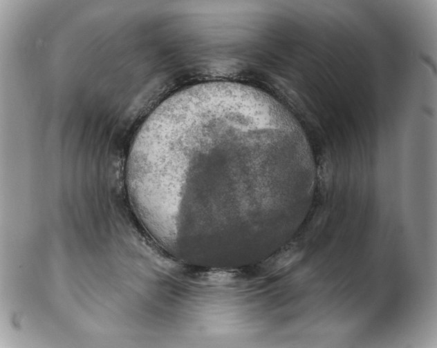 X0000102410462200808221915