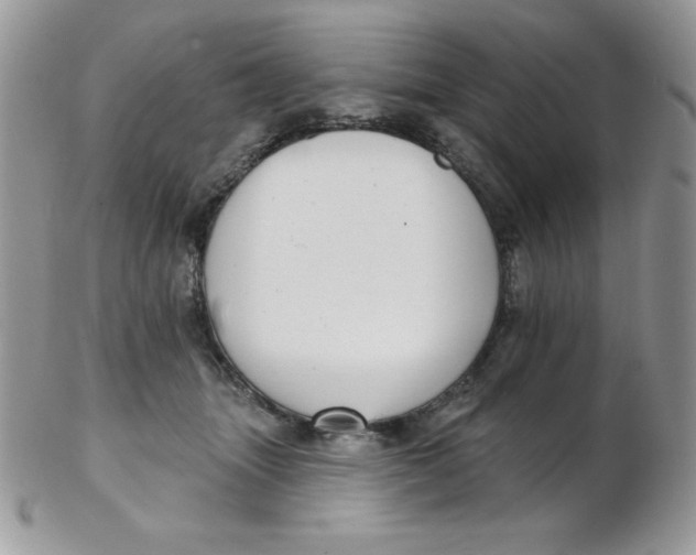 X0000102410463200808221915