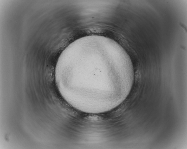 X0000102410464200808221915