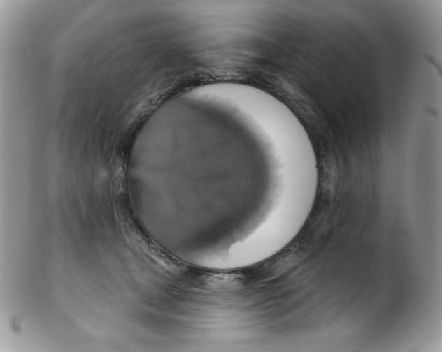 X0000102410465200808221915