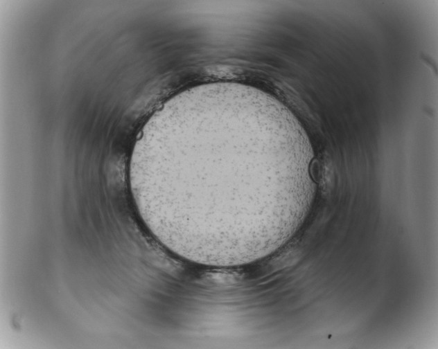 X0000102410466200808221915