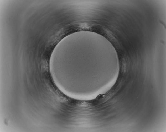 X0000102410467200808221915