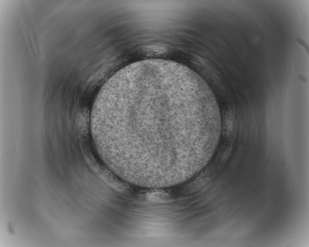 X0000102410468200808221915