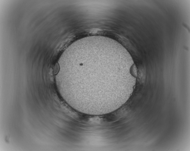 X0000102410470200808221915