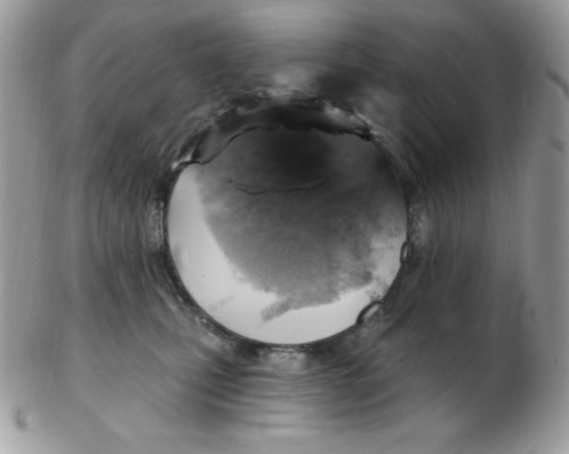 X0000102410471200808221915