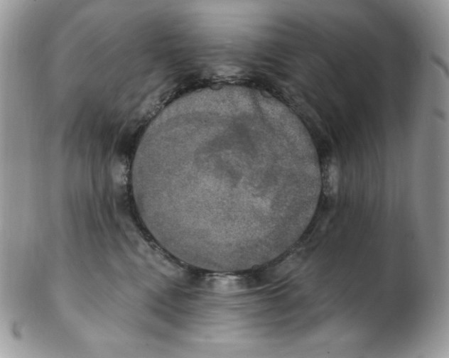 X0000102410472200808221915