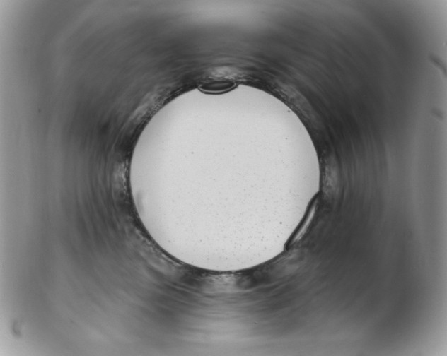 X0000102410473200808221915