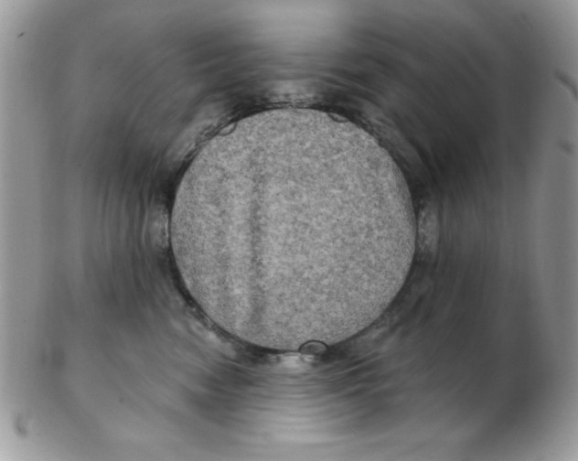 X0000102410474200808221915