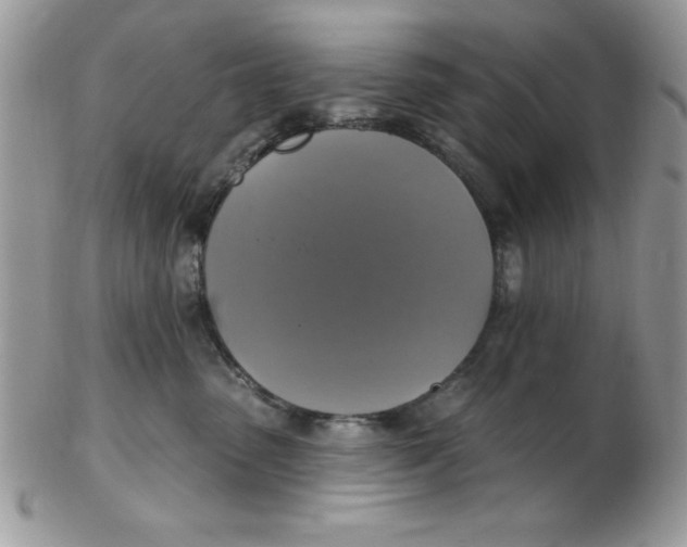 X0000102410475200808221915