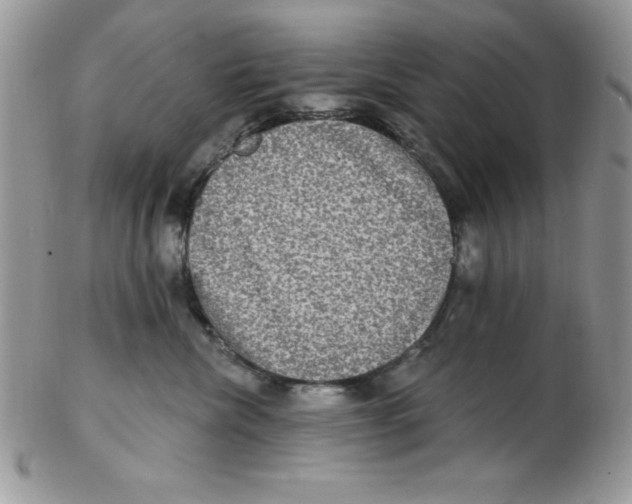 X0000102410476200808221915