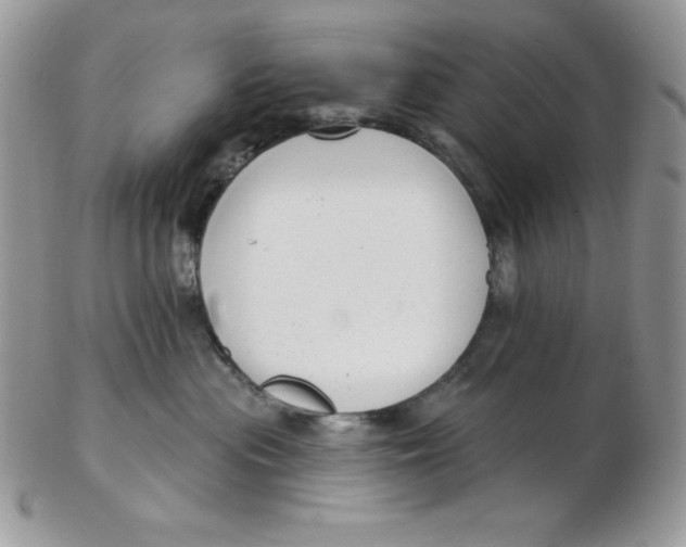 X0000102410477200808221915