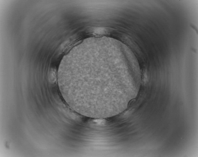 X0000102410478200808221915