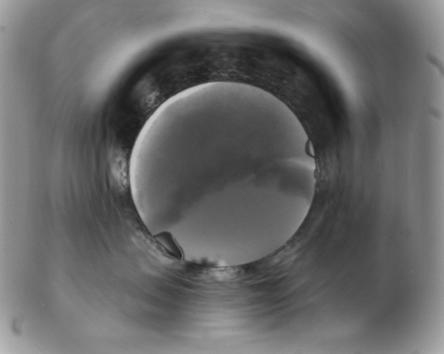 X0000102410479200808221915