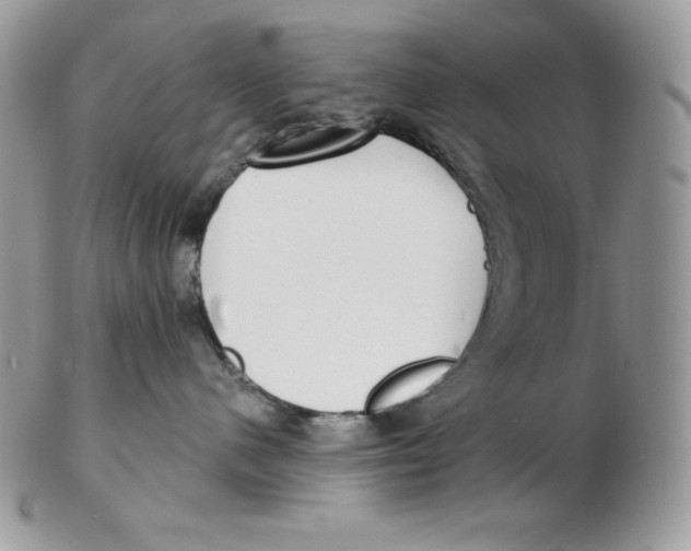 X0000102410480200808221915