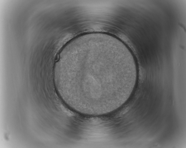 X0000102410481200808221915