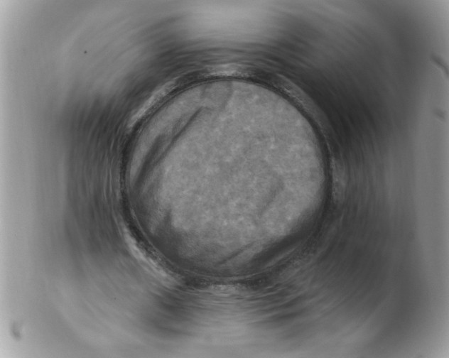 X0000102410482200808221915