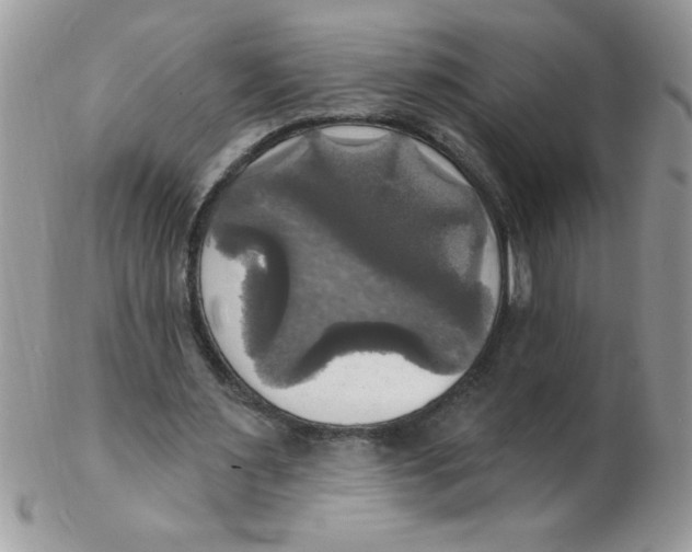 X0000102410483200808221915