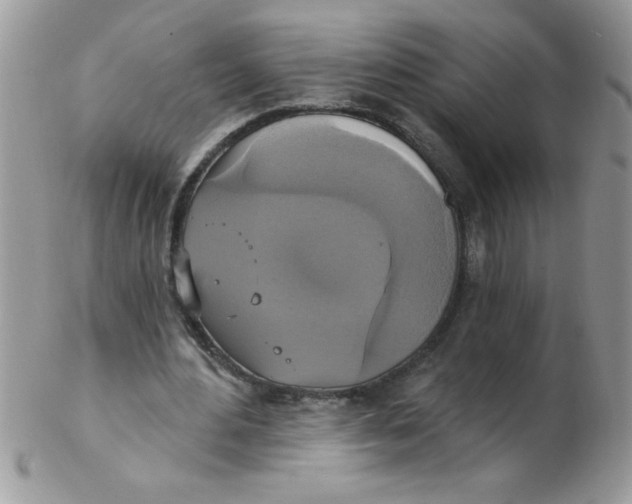 X0000102410484200808221915