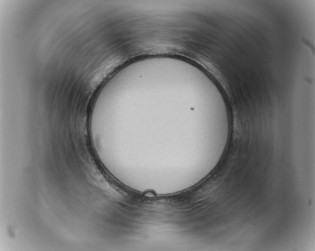 X0000102410485200808221915