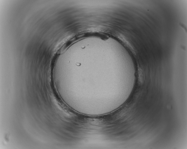 X0000102410486200808221915