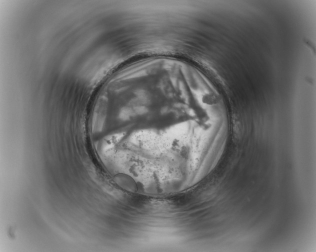 X0000102410487200808221915