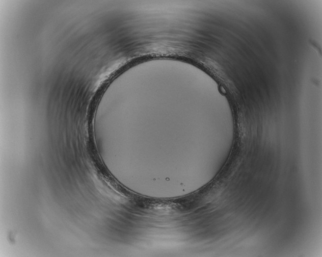 X0000102410488200808221915