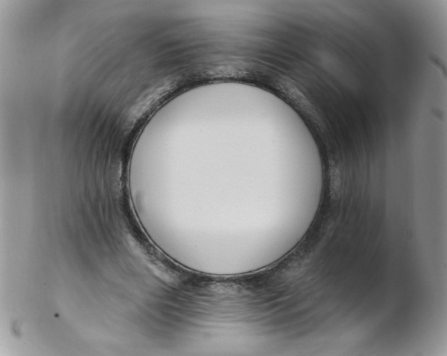 X0000102410490200808221915