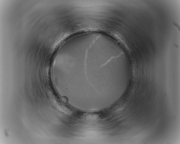 X0000102410491200808221915